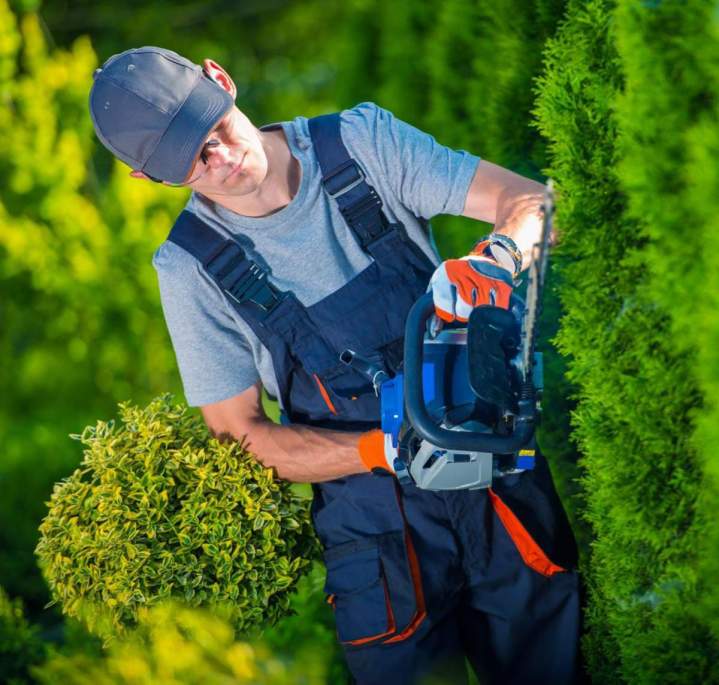Taille de haie Méru